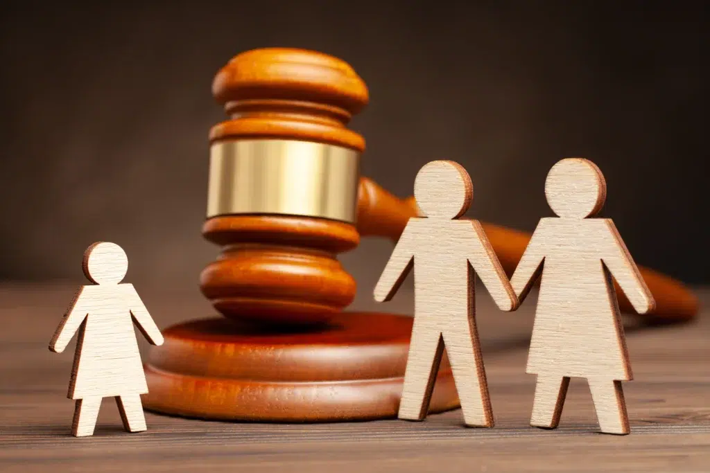 Child Custody Court case